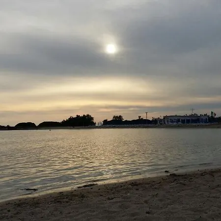Salsedine